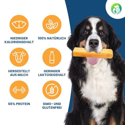 Dilecti Natürliche Käse Kauknochen für Hunde - Sehr Schmackhafte, Harte und Haltbare Natürliche Kauknochen Werden Ihren Hund für Eine Weile Beschäftigen. (Größe L, 5er-Pack)