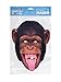 Rubie'S France - MCHIMP01 - Masque Carton chimpanze