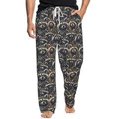 Cartoon Racoon Faces