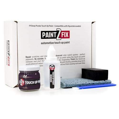 F9 Deep Purple Touch Up Paint Kit for Hyundai 0.84 fl oz