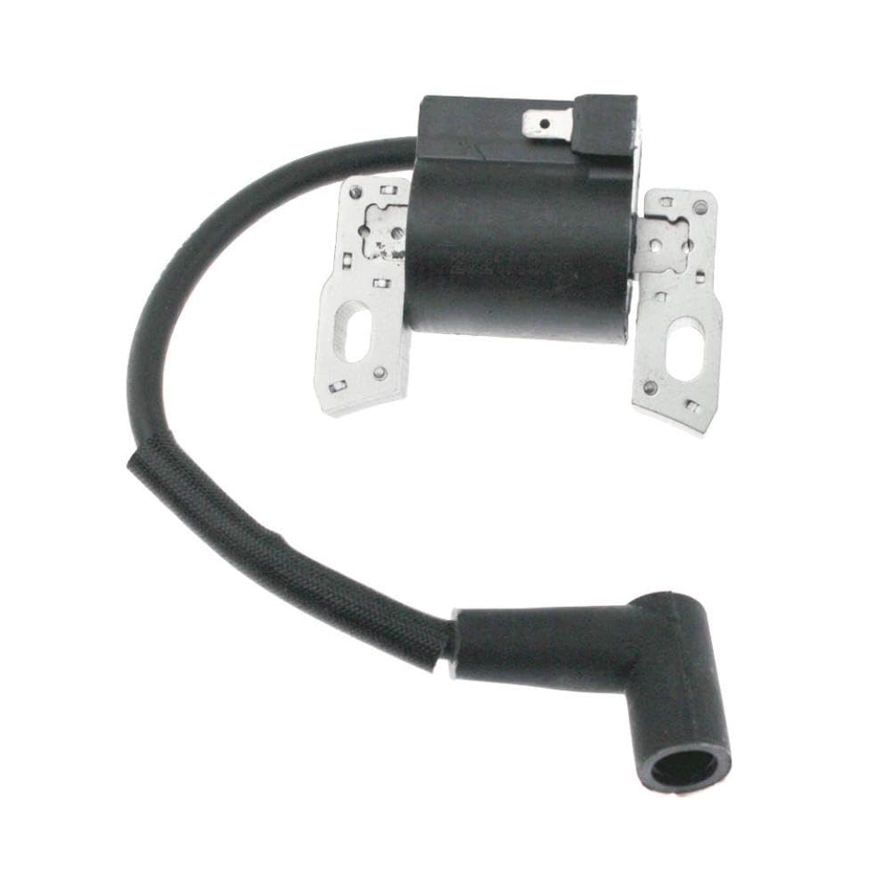Bobine d'allumage pour résoudre les problèmes de démarrage 796499