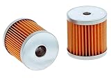 21750090 2175009 Fuel Filter 2175108 Compatible for Lombardini Engine (Pack of 2)