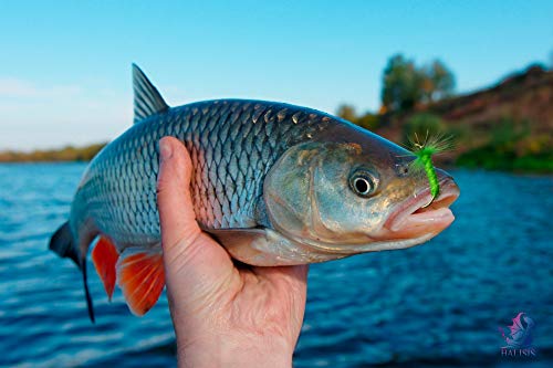 image for Halisis Fishing Lures Kit – Fly Fishing Lures Gear – Hooks, Jigs, 