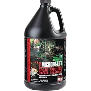 MICROBE-LIFT BSDTG1 Broad Spectrum Disease Treatment for Ponds and Outdoor Water Gardens, for Live Koi Fish, Goldfish, Plants, and Decor, 1 Gallon