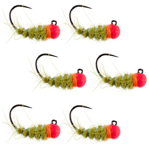 The Fly Fishing Place Tungsten Bead Hot Bead Walt's Worm Tactical Jig Czech Euro Nymph Spanish Barbless Nymphing Fly - 6 Flies Size 12