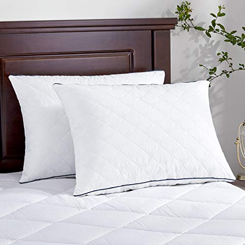 Puredown Goose Feather Gusseted Queen Pillows #TOP20