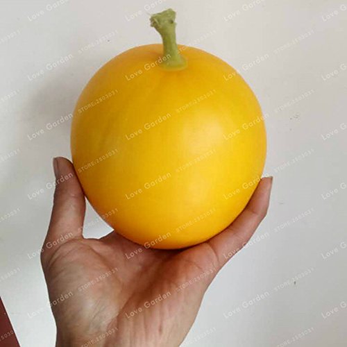 Cucumis Melo Seeds Rare Small Heirloom True French Charentais Gourmet Melon 50 Seeds / Pack Nutrient-Rich Organic Fruits 2