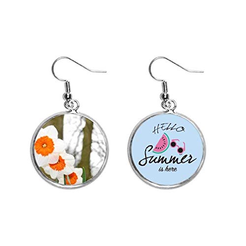 Pendientes de sandía el regalo ideal de verano para amantes de la moda alegre
