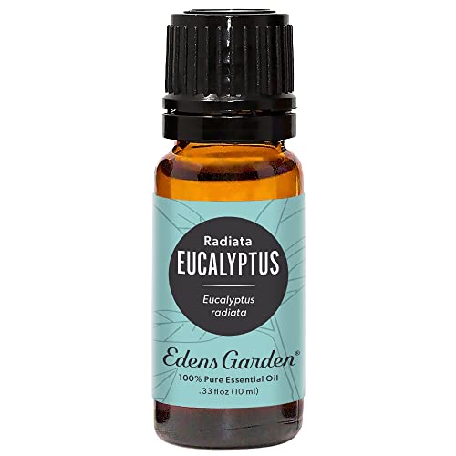 Edens Garden Eucalyptus- Radiata Essential Oil, 100% Pure Therapeutic Grade (Undiluted Natural/Homeopathic Aromatherapy Scented Essential Oil Singles) 10 ml