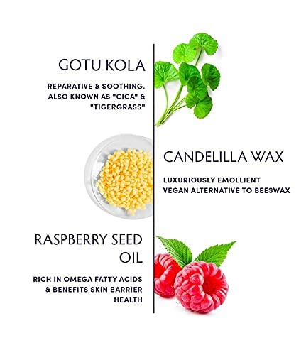 Naturopathica Gotu Kola Intense Repair Balm - Reparative Daily Facial Moisturizer With Candelilla Wax & Raspberry Seed Oil For Ultimate Skin Repair - Vegan, Made In Usa (2.8 Oz) #TOP6