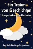 Ein Traum von Geschichten - Kurzgeschichten zum Einschlafen: Guten Nacht Geschichten Erwachsene - Klaus Heil 