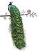 SWORNA Nature Series Flower Peacock Garden Vinyl Removable DIY Wall Art Mural Sticker Decor Decal - Lady's Bedroom Office Sitting Living Room Hallway Kitchen Glass Door Window Nursery 26"H X 23"W