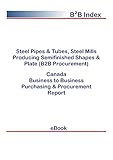 tube plate carrier  Steel Pipes & Tubes, Steel Mills Producing Semifinished Shapes & Plate (B2B Procurement) in Canada: B2B Purchasing + Procurement Values (English Edition)