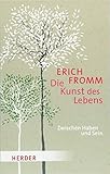  Die Kunst des Lebens: Zwischen Haben und Sein (HERDER spektrum)
