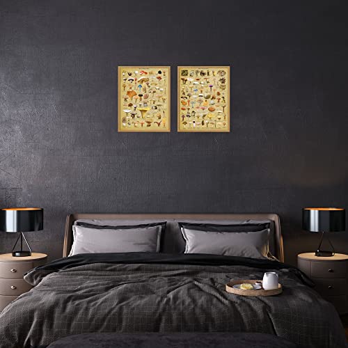 Vintage Mushroom Poster Mushroom Poster Mushroom Wall Art - Set Of 2 (11X14) Mushroom Posters Mushroom Prints Mushroom Pictures Wall Art, Mushroom Decor Mushroom Posters For Wall - Unframed #TOP4