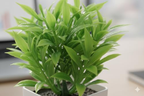 Product view 5