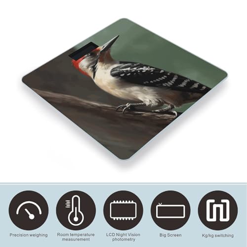 Báscula Digital de Baño de Vidrio Templado Woodpecker 400lb miniatura 3