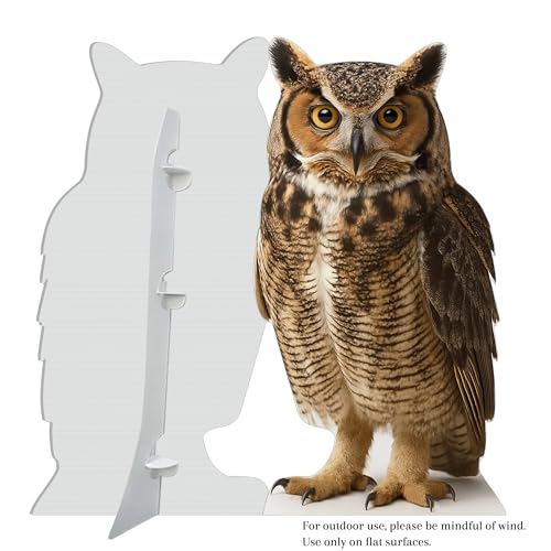 Image of Owl 5FT Life Size Cardboard Cutout - A Fun Animal Standup for Photo Booths, Birthday Parties, and Events