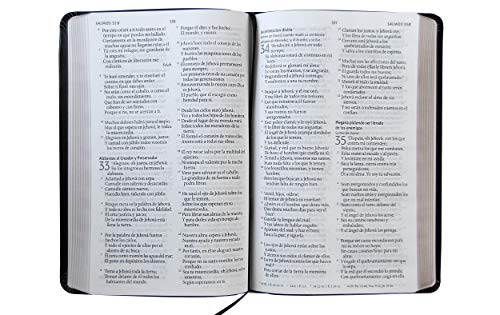 Biblia Reina Valera 1960 Letra Grande. Símil Piel Color Negro, Tamaño Manual / Spanish Holy Bible Rvr 1960. Handy Size, Large Print, Black Leathersoft #TOP4
