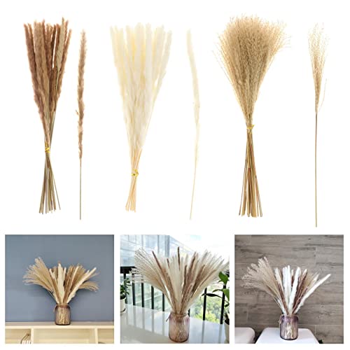 60 Peças de Decoração de Buquê de Flores de Junco de Seca Dos Pampas