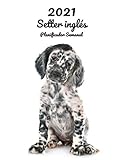  2021 Setter inglés Planificador Semanal: 123 Páginas  Tamaño A4  Calendario  14 Meses  1 Semana en 2 Páginas  Agenda Semana Vista  En español  Perro