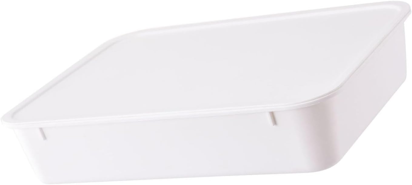 Rapid Fermentation Dough Box Featuring Materials for Optimal Result Clear Designs and Airtights Seal Domestic Kitchen Use