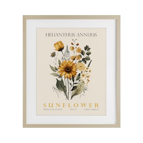 Natural Sunflower Bundle Floral, 13 x 16 Inch Framed Print Under Glass