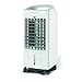 Produktbild Olimpia Splendid Turmventilator mit Fernbedienung, Timer und großem herausnehmbarem 3,5 Liter-Tank, Péler 4E