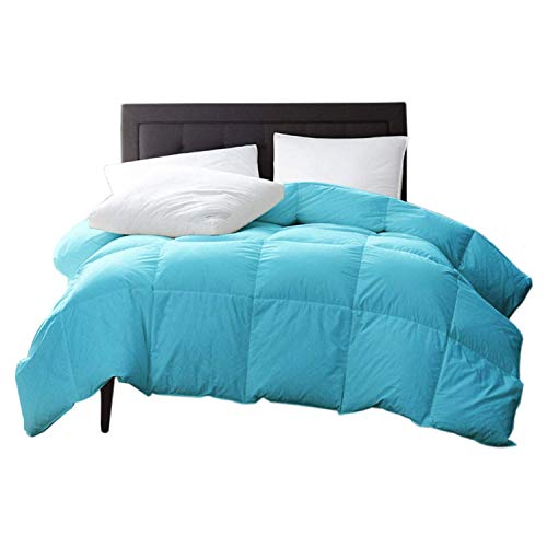 New York Mercado 100% Organic Cotton Comforter Luxury And Premium Quality Quilted With Corner Tabs 500 Gsm Gots Certified 800 Tc All Season Warm Fluffy Ultra-Soft Comforter Twin, Sky Blue #TOP11