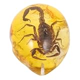 GARVALON