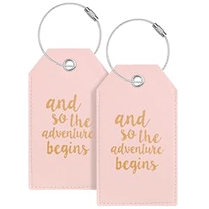 Luggage Tag & Personalized Luggage Tags for Suitcases Leather Bag Tags for Backpacks Handbag School Instrument with Name ID Label Travel Essentials, Unique Fun Pink Baggage Tags 2 Pack