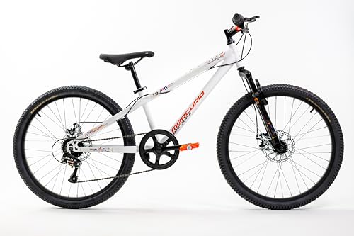 Recopilación de Bicicletas mercurio de esta semana. 5 Imagen adicional