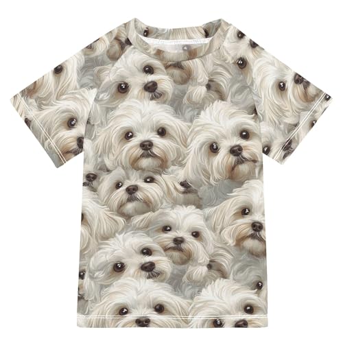Wudan Funny Maltese Dogs Kids Bathing Suit UV Protection Rash Guard for Girls Swimwears Summer Clothes for Little Boys 7-8Y