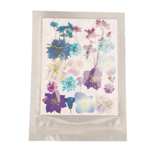 Kit de flores prensadas secas coloridas para manualidades miniatura 7