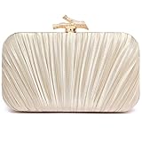 Nexellent Purses for Women Evening Bag Handbags Formal Pleated Clutch Bag with Chain for Prom Wedding Party Black-tie affairs (Champagne)