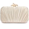 Purses for Women Evening Bag Handbags Formal Pleated Clutch Bag with Chain for Prom Wedding Party Black-tie affairs