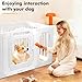 Large Dog Playpen – 25.5Inch Tall Acrylic Pet Fence Playpen with Door for Medium and Small Dogs, Safe Indoor & Outdoor XL Big Puppy 11-Panel Play Pen (White)