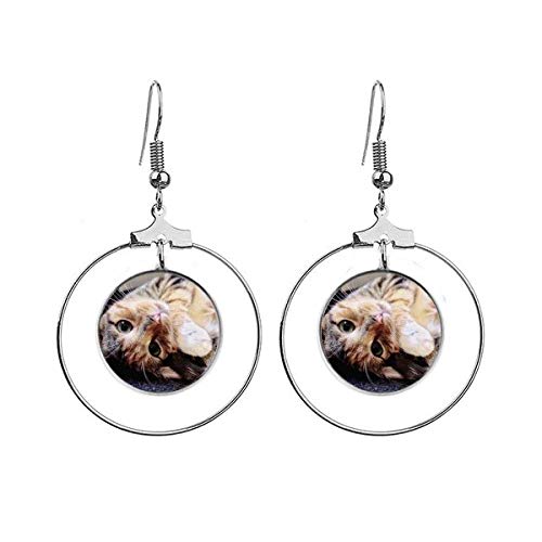 Pendientes de aro de plata con diseño de gato y rayas para mujer
