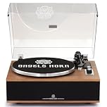 Vinyl Record Player With Speakers, High Fidelity Bluetooth Turntable with Built-in Speakers, Magnetic Cartridge AT-3600L, Belt Drive 2-Speed