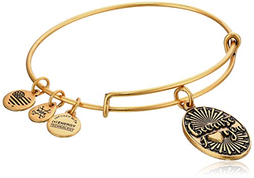 Alex and Ani Because I Love You Rafaelian Gold Bangle Bracelet