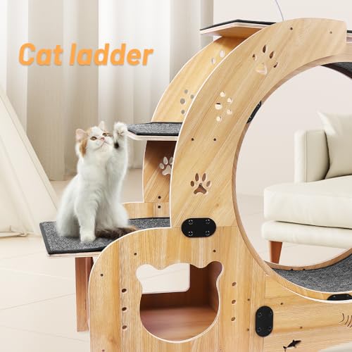 Rovibek Cat Exercise Wheel Indoor, 4 in 1 Cat Running for Indoor, Litter Fitness Wheels with Climbing Ladders and Bowls, Silent Roller, Solid Wood