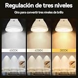 Focos LED 12 Imagen adicional