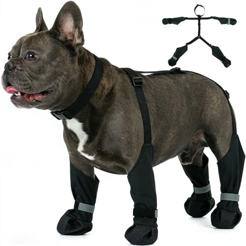 IKIPUKO Dog Suspenders Boots, Winter Snow Shoes for Medium Dogs, Waterproof Dog Boots for Rain Mud, Anti-Slip Stay-On for Active Dogs, Adjustable Reflective Paw Protector for Walking Hiking, M Black