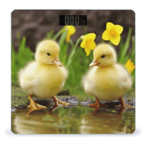 Báscula Digital Cute Ducks para Baño 400 lb
