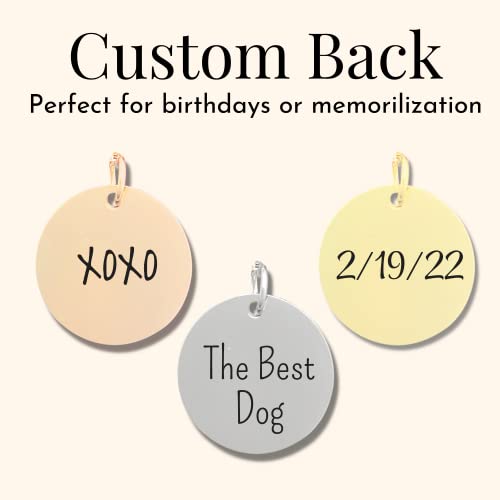 Pawfurever Dog Memorial Gifts For Loss Of Dog - Dog Memory Gifts, Pet Memorial Gifts For Dogs, Personalized Pet Memorial Necklace Stainless Steel, 18Mm Engraved Face (Silver) #TOP5