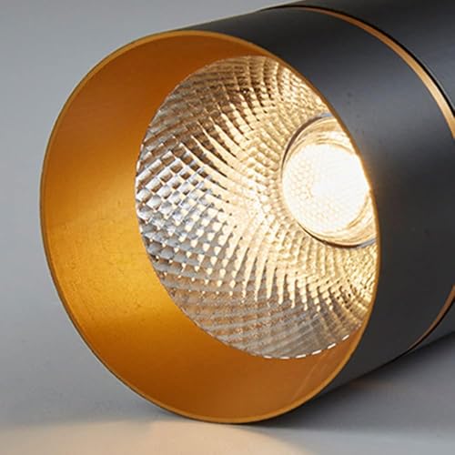 Suspension LED 5W downlight noir à tête unique pour éclairage ciblé