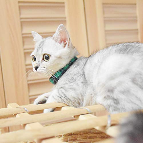 Image of Breakaway cat Collars with Bell, Set of 3, Durable & Safe Cute Kitten Collars Safety Adjustable Kitty Collar for Cat Puppy 7.5-11in (Green,Cyan,Black)