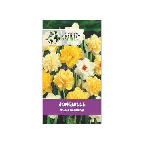 5 Bulbes Jonquilles Doubles en Mélange -Des Fleurs Splendides pour un Printemps Éclatant