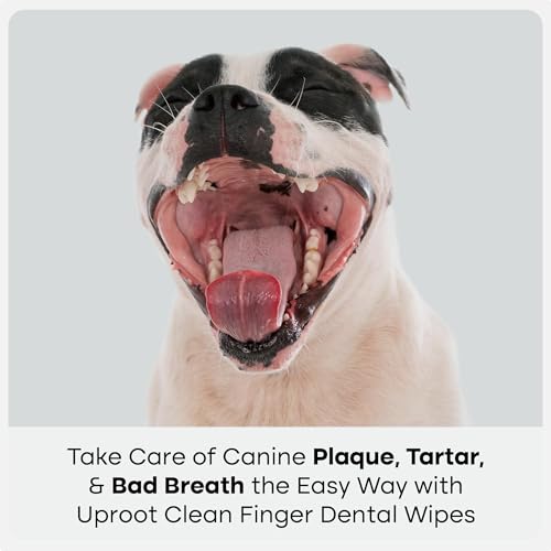 Image of Uproot Clean Pet Dental Finger Wipes for Dogs & Cats (50ct.): Easy & Effective Cat and Dog Teeth Cleaning Wipes - Dog Dental Tissues for Plaque, Tartar, & Bad Breath - Safe, Rinse-Free, Disposable