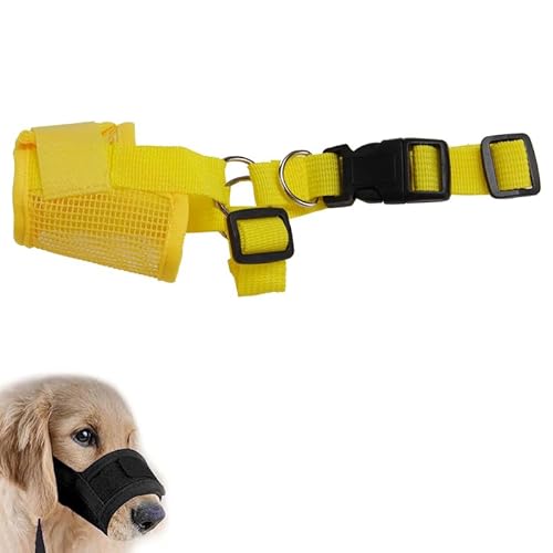 p}Y bṼ}XN K ʋC p  i h~ ObY TCY\ ̌ی삷 pPpi ^ ^ Ƌjh~ ݂ rߖh~ EHh~ (CG[,S)